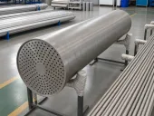 Titanium heat-exchanger shell and tube-sheet component beside straight tubes